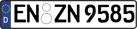 EN-ZN9585