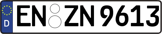 EN-ZN9613