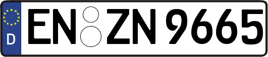 EN-ZN9665