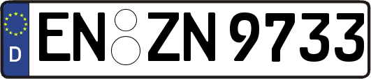 EN-ZN9733