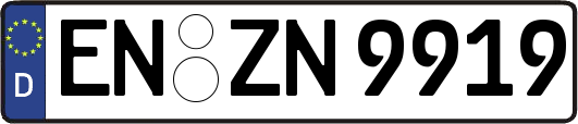 EN-ZN9919