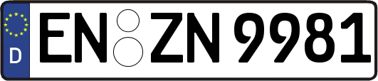 EN-ZN9981
