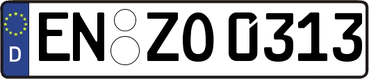 EN-ZO0313