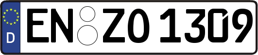 EN-ZO1309