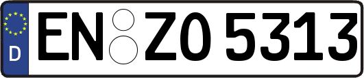 EN-ZO5313