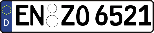 EN-ZO6521