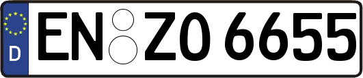 EN-ZO6655