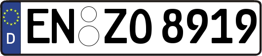 EN-ZO8919