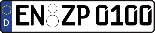 EN-ZP0100