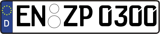 EN-ZP0300