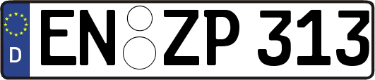EN-ZP313