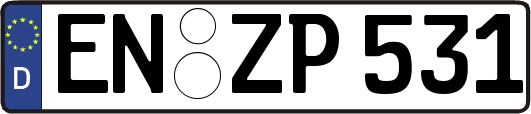 EN-ZP531
