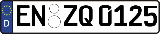 EN-ZQ0125