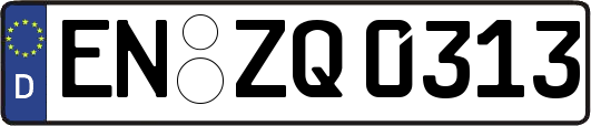 EN-ZQ0313