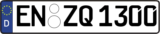 EN-ZQ1300