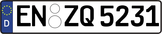 EN-ZQ5231