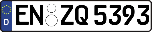 EN-ZQ5393