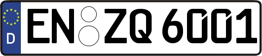 EN-ZQ6001