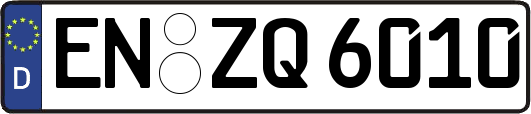 EN-ZQ6010