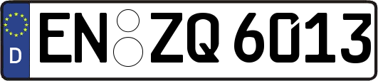 EN-ZQ6013