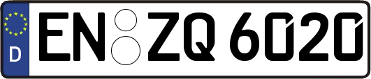 EN-ZQ6020