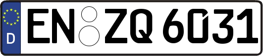 EN-ZQ6031