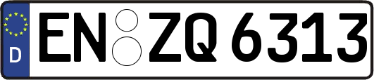 EN-ZQ6313