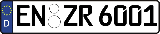 EN-ZR6001