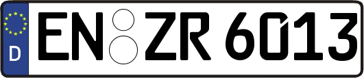 EN-ZR6013