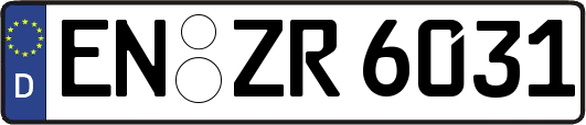 EN-ZR6031