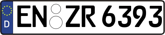 EN-ZR6393