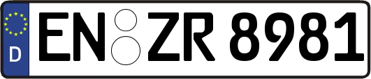 EN-ZR8981