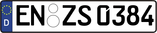 EN-ZS0384