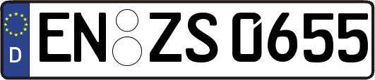 EN-ZS0655