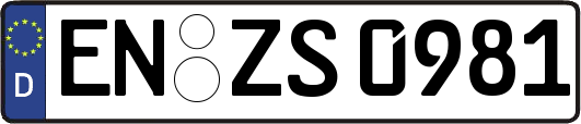 EN-ZS0981