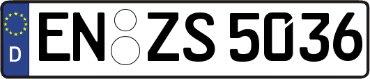 EN-ZS5036