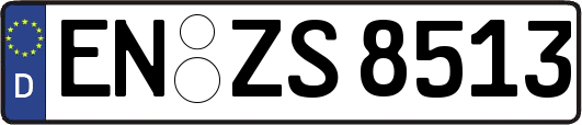 EN-ZS8513