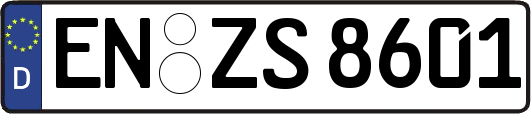 EN-ZS8601