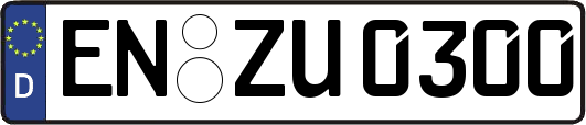 EN-ZU0300