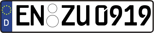 EN-ZU0919