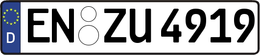 EN-ZU4919