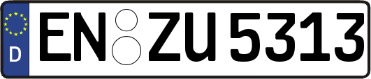 EN-ZU5313