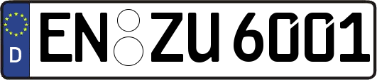 EN-ZU6001