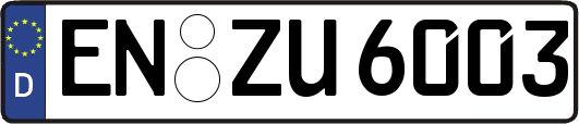 EN-ZU6003