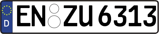 EN-ZU6313