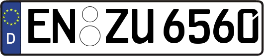 EN-ZU6560