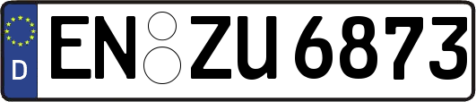 EN-ZU6873