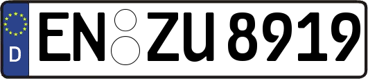 EN-ZU8919