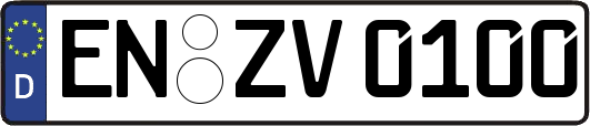 EN-ZV0100