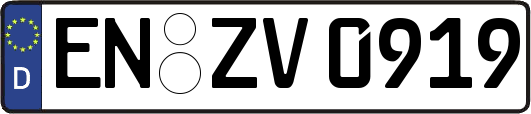 EN-ZV0919